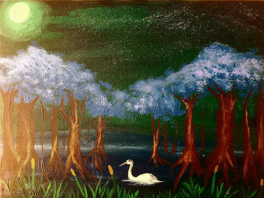 A Wandering Swan